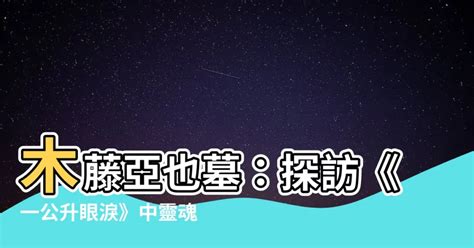 木藤亞也墓|木藤亞也:簡概,一生,名言,生命價值,一生目錄,16歲,18歲,…